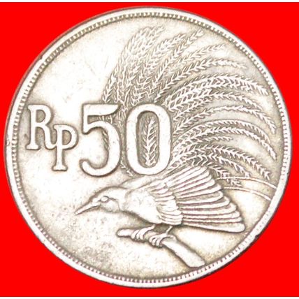 BIRD OF PARADISE ★ INDONESIA ★ 50 RUPIAH 1971!★LOW START★ NO RESERVE!