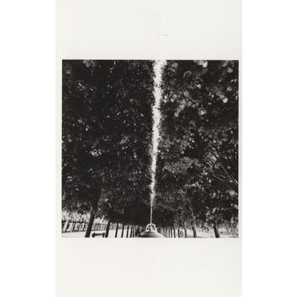 Palais Royal French Garden Paris France Award Photo Postcard