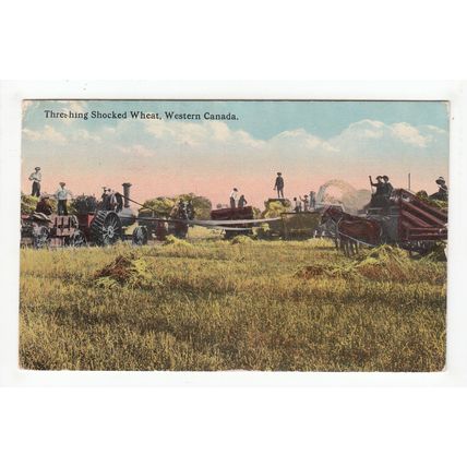 Threshing Shocked Wheat Farming Postcard Western Canada