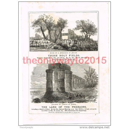 Palestinian (Israeli) and Egyptian Scenes, Book Illustration (Print), c1891