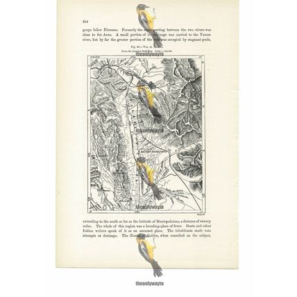 Val Di Chiana, Map, Italy, Book Illustration (Print), 1880