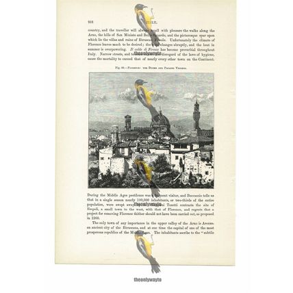 Florence, Duomo & Palazzo Vecchio, Italy, Book Illustration (Print), 1880