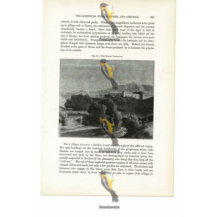 Roman Campagna, Italy, Book Illustration (Print), 1880