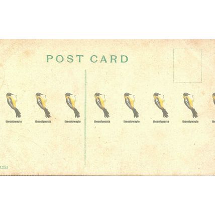 Polly Nathan's Fishshop, Petticoat Lane, London, 1253 Postcard, 1900/10s