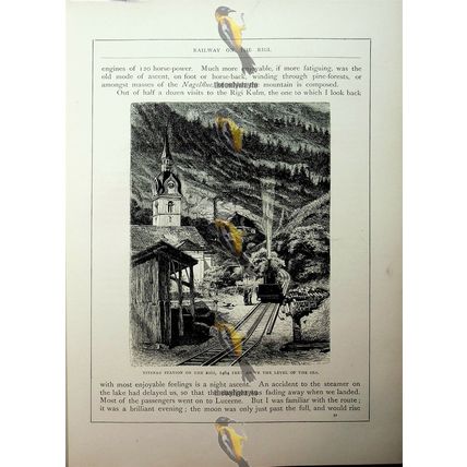 Vitznau Station On The Rigi, Switzerland, Book Illustration (Print), c1890