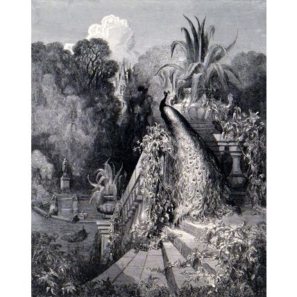 PEACOCK COMPLAINING TO JUNO 1885 Gustave Doré - La Fontaine ANTIQUE ENGRAVING