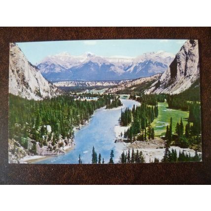 Canada Bow Valley 1960s mint Scenic Art colour postcard Banff National Park