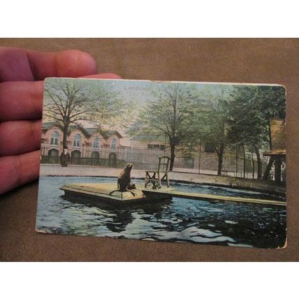 1905 fr EFA Postcard - Sealion @ London Zoo - Nature interest