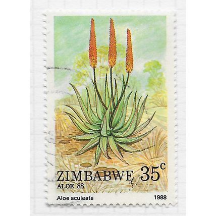 ZIMBABWE 1988 ALOE PLANT ACULEATA FLORA 35c USED