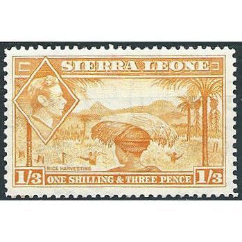Sierra Leone 1944 SG196a 1/3d Yellow-Orange Mounted Mint .. ..