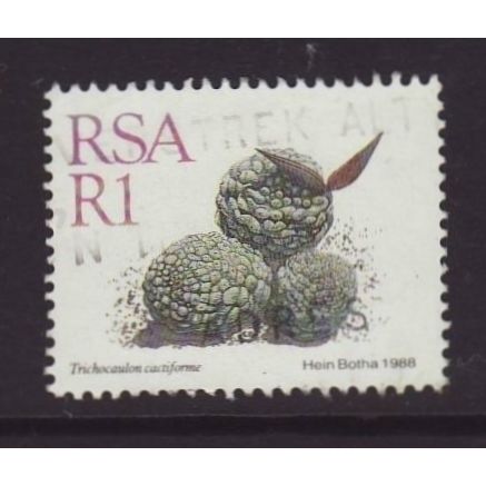 South Africa 1988 SG 667 Used - Flora (D-743)