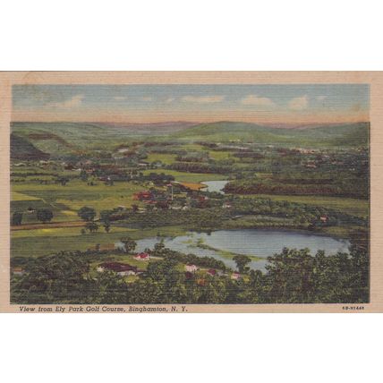 Binghamton, NY - Lot of 5 - Linen Era Postcards - Bridges, Parks, Golf Course