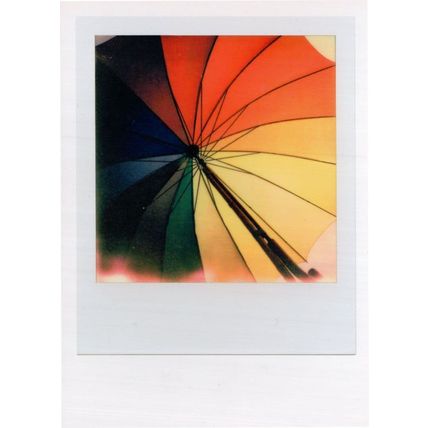 LGBT Umbrella Parasol Rainbow Analogue Camera Film Award Photo Postcard