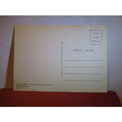 THE SEAQUARIUM, MIAMI, FLORIDA unused postcard #