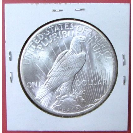 1924 Peace Dollar. This Coin is a replica and contains NO precious metal.