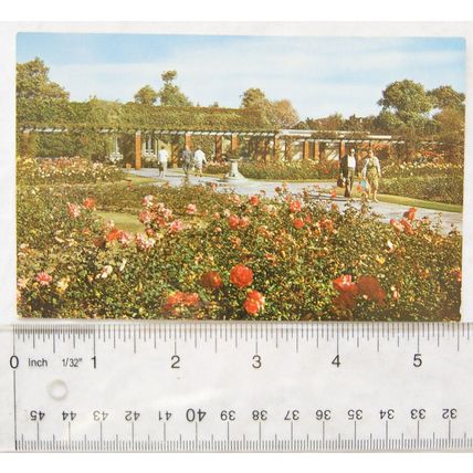 old postcard Fort Rose Gardens, Southsea ref1