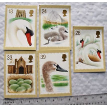 5x1993 Royal Mail postcards - Swans