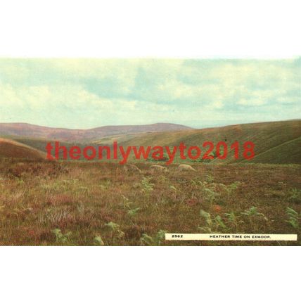 Heather Time on Exmoor, Somerset, Postcard