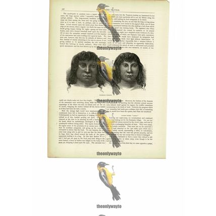 Zummate Indians, Amazon Region, Brazil, Book Illustration (Print), c1880