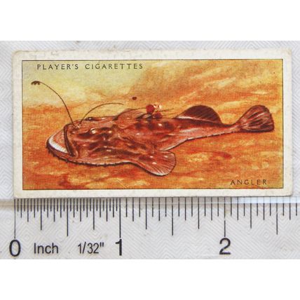 1935 Players Sea Fishes No. 50 Angler
