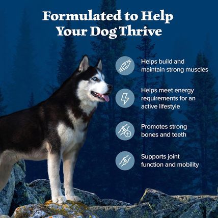 Blue Buffalo Wilderness Natural High-Protein Dry Food for Adult Dogs, Chicken Re
