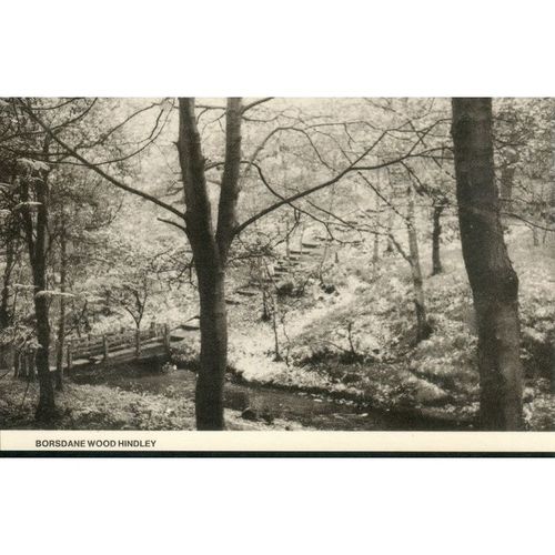 Bordsdane Wood Hindley, Lancashire
