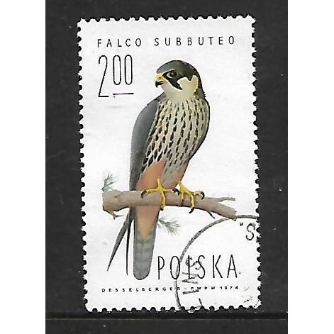 POLAND 1975 2z NORTHERN NOBBY SG2345 FINE USED