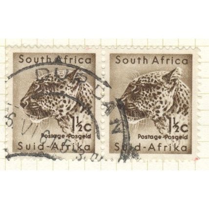 South Africa 1961 - 1½c brown - Panthera pardus x 2 - used