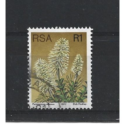 SouthAfrica.SG429 1r Paranomus Reflexus.Fine Used.Sep25a
