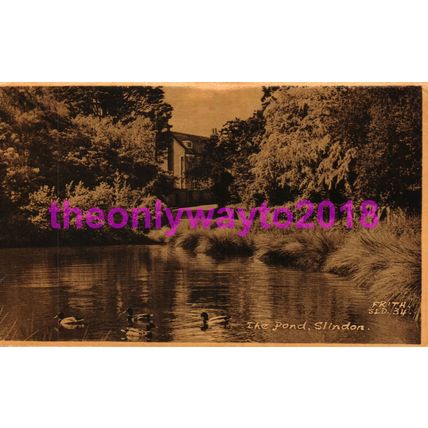Pond, Slinton, Sussex, England, Friths Postcard 1967