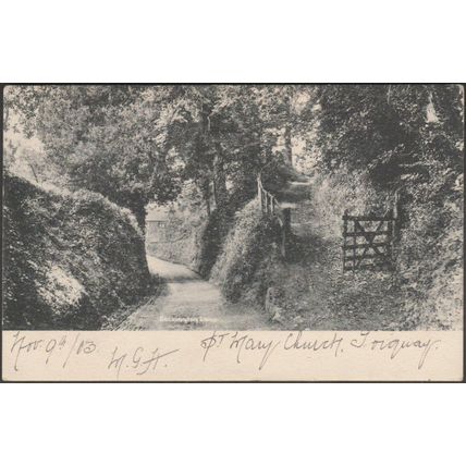 Cockington Lane, Torquay, Devon, 1903 - Frith's Postcard