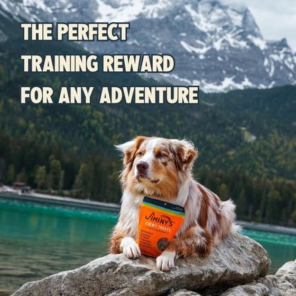 Jiminy’s Chewy Training Treats for Dogs – Pumpkin & Carrot Recipe – 6 oz