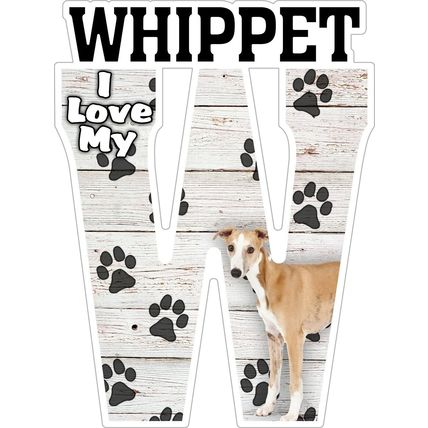 I Love My Whippet Fridge Magnet
