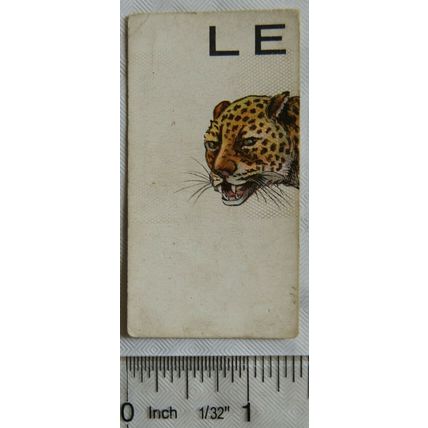 1929 Wills cigarette card Animalloys No. 19