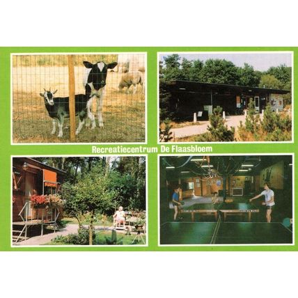 Flaasdijk Holiday Park Chaam Brabant Table Tennis Dutch Postcard