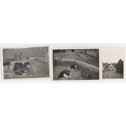 Photographs places in England 1950’s. London, Surrey, Sussex, etc