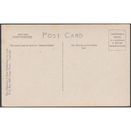 Parliament House and Avenue, Cape Town, c.1905-10 - Valentine's Postcard