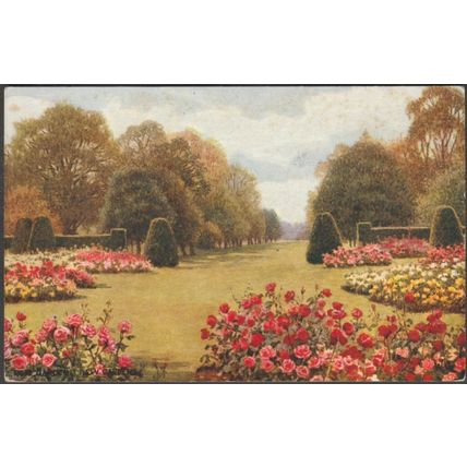 Rose Garden, Kew Gardens, Surrey, c.1930s - Salmon Postcard