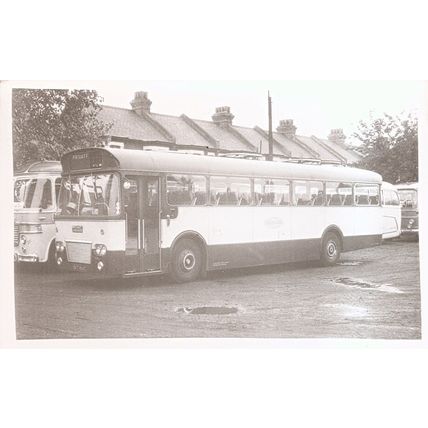 Black & White Photograph of Maidstone & District Motor Services Ltd. - BKT 804C