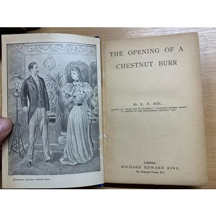 ANTIQUE E P ROE "THE OPENING OF A CHESTNUT BURR" FICTION BOOK (P3)