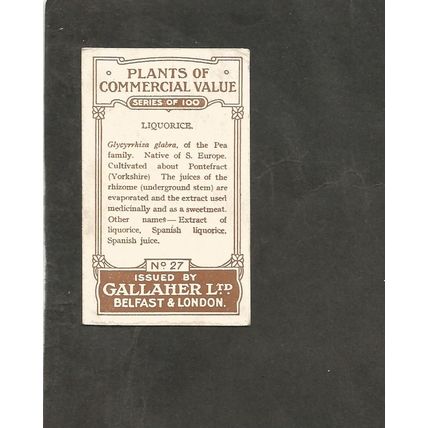 Cigarette Card Gallaher Plants of Commercial Value 1917 #27 Liquorice