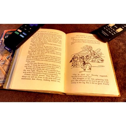 The Bobbsey Twins At Snow Lodge 1960 By Laura Lee Hope Great Shape