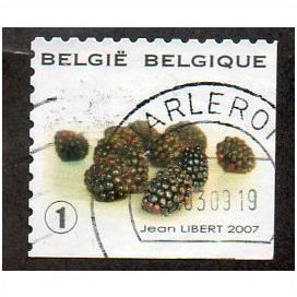 BEL 2007 (52c)(S/A) 'FRUIT- BLACKBERRIES' FINE USED (EBID10437)