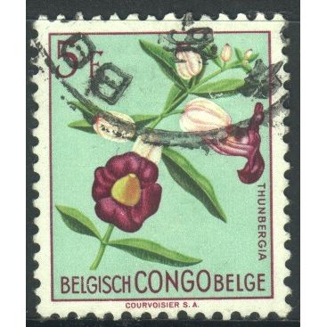 Belgian Congo stamps 1952 - SG310 - 5f "Thunbergia" - used