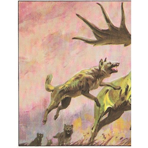 Panini's Dinosaurs Sticker Collection - Sticker No. 156