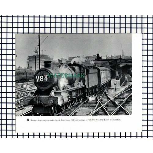 (7840) Snow Hill Railway Station 5071 Spitfire 7902 Eaton Mascot -1970s Cutting