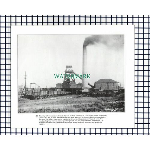 (7790) Thornley Colliery - Cutting