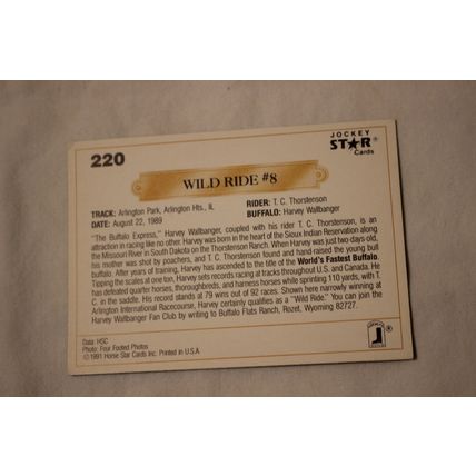 Wild Ride #8 1991 Jockey Star NO. 220