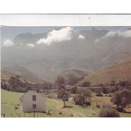 Cape Province South Africa Postcard unused VGC