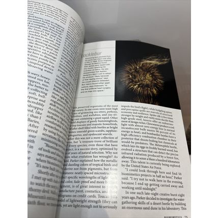 National Geographic Magazine April 2008 Africa’s Ragged Edge Collectable